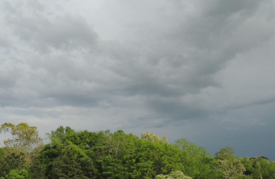 Diverse Weather Patterns for the Next Four Days in India